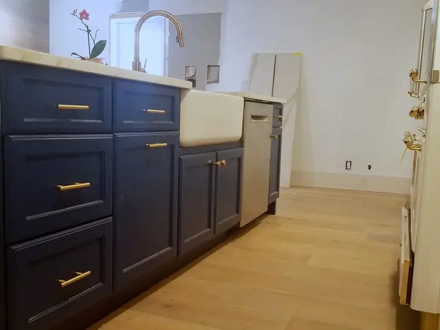 Navy blue cabinets with gold handles